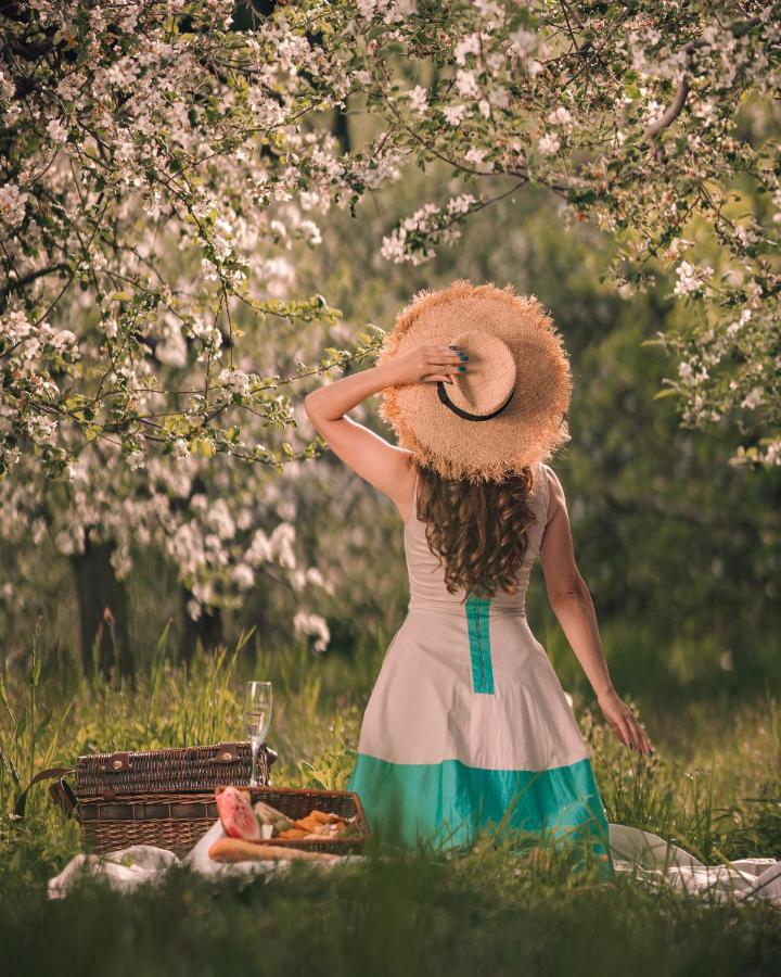 Craita Merelor The Place Aninosani 외부 사진